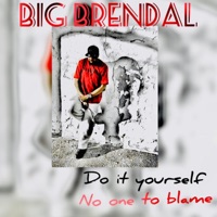 Do It Yourself No One to Blame - BIG Brendal
