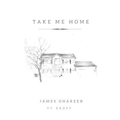 Take Me Home (feat. Krost) - Single
