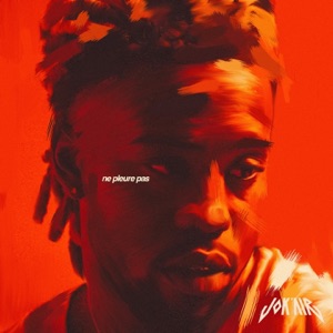 Ne pleure pas - Single