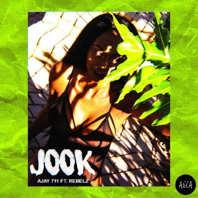 Jook (feat. Rebelz) - Single