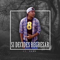 Si Decides Regresar (feat. Arce & Erna) - Single - Brandier