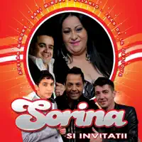 Pana La Soare Si Inapoi (feat. DeSanto) — Sorina