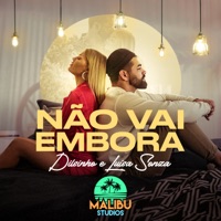Não Vai Embora - Single - Dilsinho & Luísa Sonza