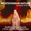 Meditations in Nature (Soothing Nature Sounds & Music for Mindful Meditation)