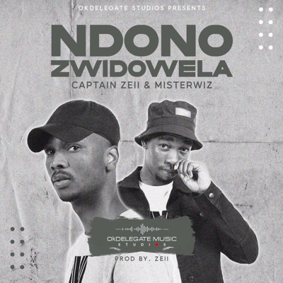 Ndono Zwidowela (feat. Misterwiz) - Single