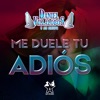 Me Duele Tu Adiós - Single