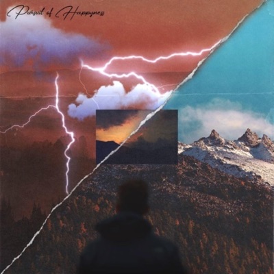 Pursuit of Happyness