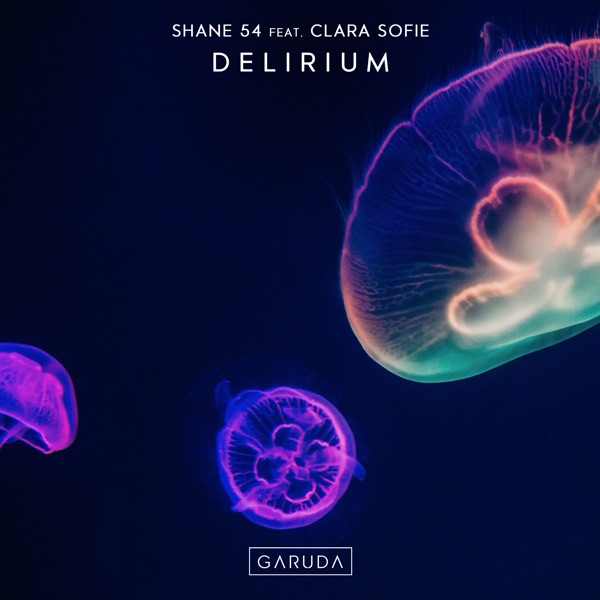 Delirium (feat. Clara Sofie) - Single
