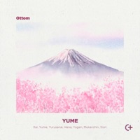 Album cover for Hana by Ottom