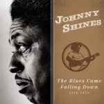 Johnny Shines - Stand By Me (Live)