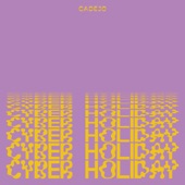 Cyber Holiday (feat. NUCKSAL) artwork