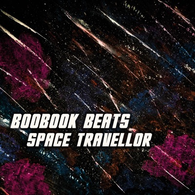 Space Travellor