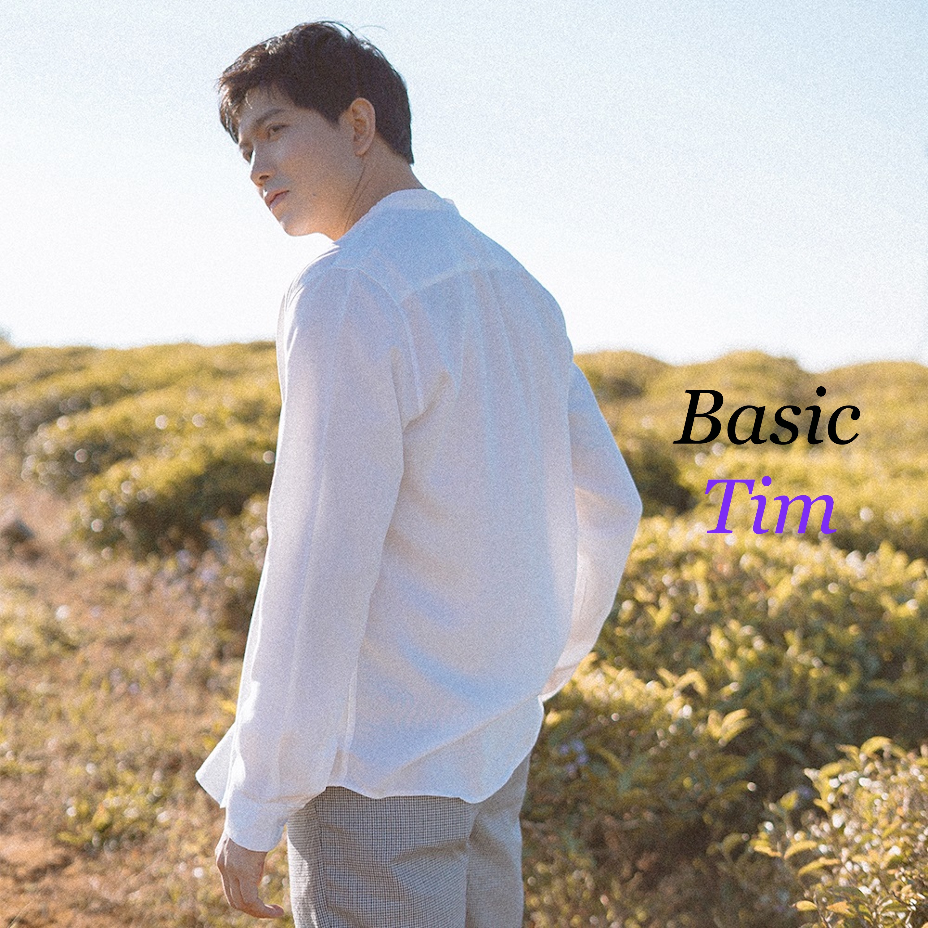 Basic - Single