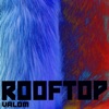 Rooftop - Single