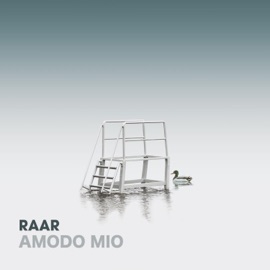 Amodo Mio Raar