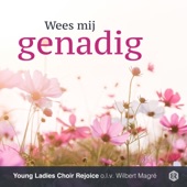 Onderweg artwork