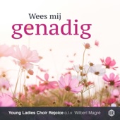 Wees Mij Genadig artwork