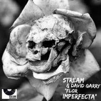 Flor Imperfecta - Single - Stream & David Garry