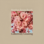 Collectively Counting (feat. Gareth Quinn Redmond & Villagers)