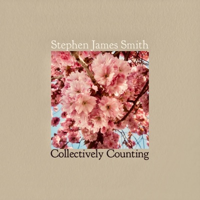 Collectively Counting (feat. Gareth Quinn Redmond & Villagers) - Single
