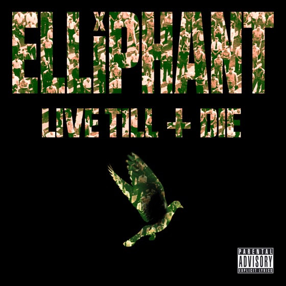Cover artwork for Make a New Breed