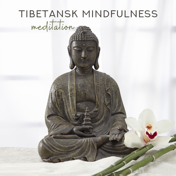Tibetansk mindfulness meditation: Koppla av med tibetanska sjungande skålar, Hypnotisk musik