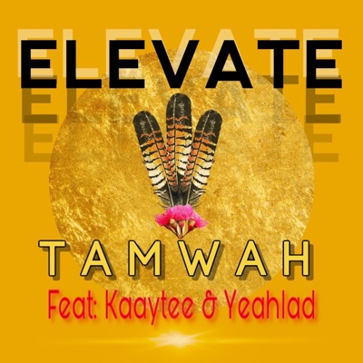 Elevate (feat. Kaaytee & Yeahlad) - Single