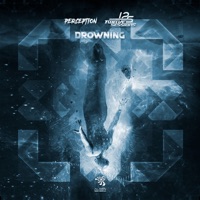 Drowning - Single - Twelve Sessions & Perception