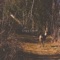 Frostnatt - Crispy Carrot lyrics