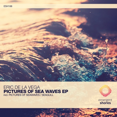 Pictures of Sea Waves - Single