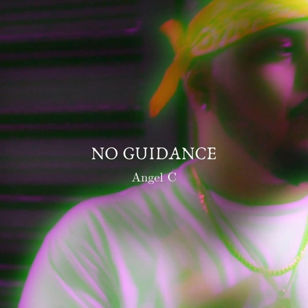 No Guidance