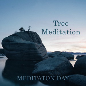 Tree Meditation