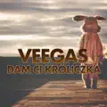 Dam Ci kroliczka