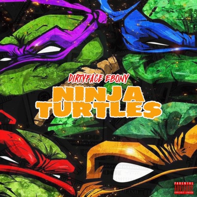 Ninja Turtles - Single