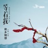 罗威 - 故乡的云