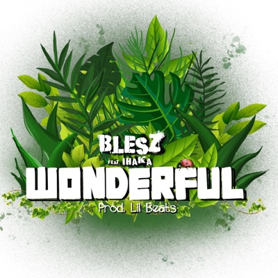 Wonderful (feat. Ihaka) - Single