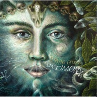 Flooting Grooves - Didjeridon't Revisited