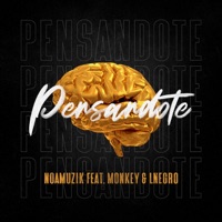 Pensandote (feat. Monkey & Lnegro) - Single - Noamuzik