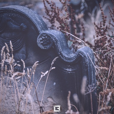 Cradle 2 the Grave - Single