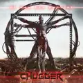 Through Suffering Reborn