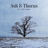 Signs by Ash & Thorns iTunes Track 2