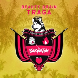 Traga Beauty Brain