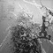 Jitter - Swarmm lyrics