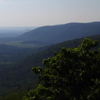 Your Smile - Single - luvbird