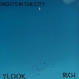 Nights in the City (feat. UWEM) YLook