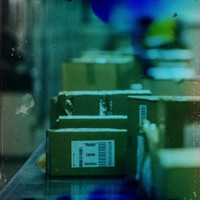 Mango (feat. Blackghost) - Single - Lavon