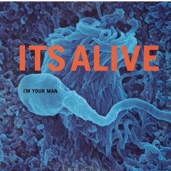 I'm Your Man (feat. Max Martin) - Single