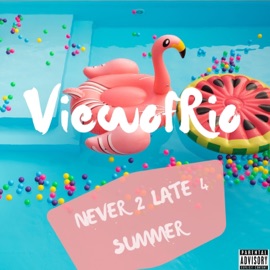 2 Hot 4 Summer (feat. Money Mon & L.R.) Viewofrio
