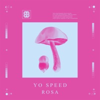 Rosa - Single - Yo Speed