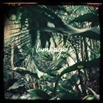 Lumbago - Single